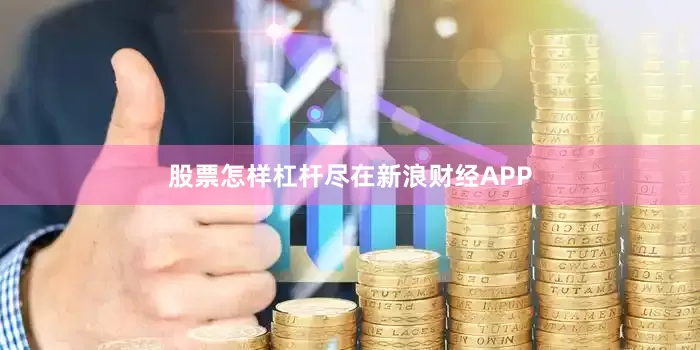股票怎样杠杆尽在新浪财经APP