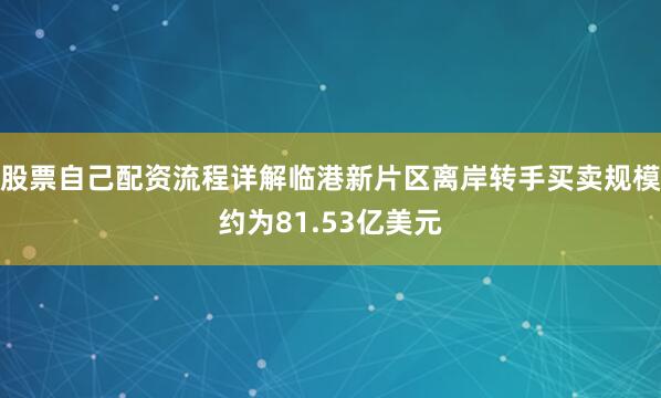 股票自己配资流程详解临港新片区离岸转手买卖规模约为81.53亿美元