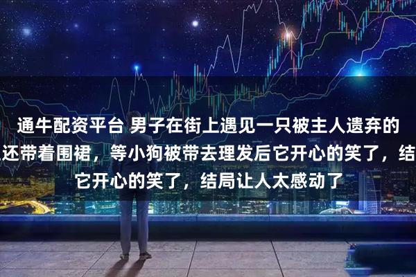 通牛配资平台 男子在街上遇见一只被主人遗弃的流浪狗,脖子上还带着围裙,等小狗被带去理发后它开心的笑了,结局让人太感动了