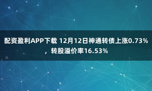 配资盈利APP下载 12月12日神通转债上涨0.73%,转股溢价率16.53%
