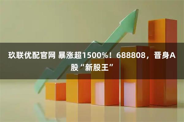 玖联优配官网 暴涨超1500%！688808，晋身A股“新股王”
