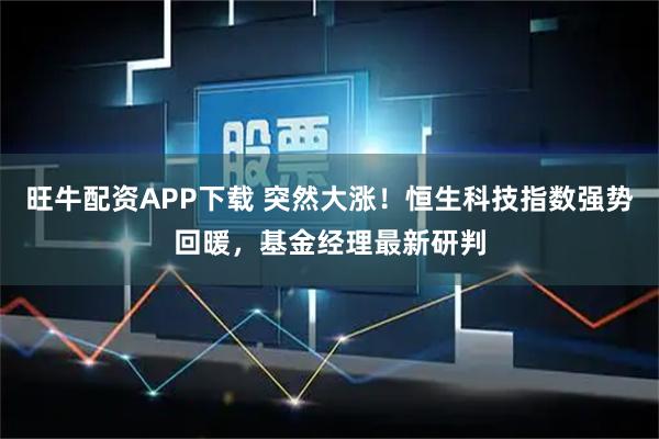 旺牛配资APP下载 突然大涨!恒生科技指数强势回暖,基金经理最新研判