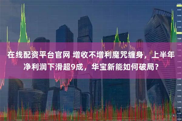 在线配资平台官网 增收不增利魔咒缠身,上半年净利润下滑超9成,华宝新能如何破局?